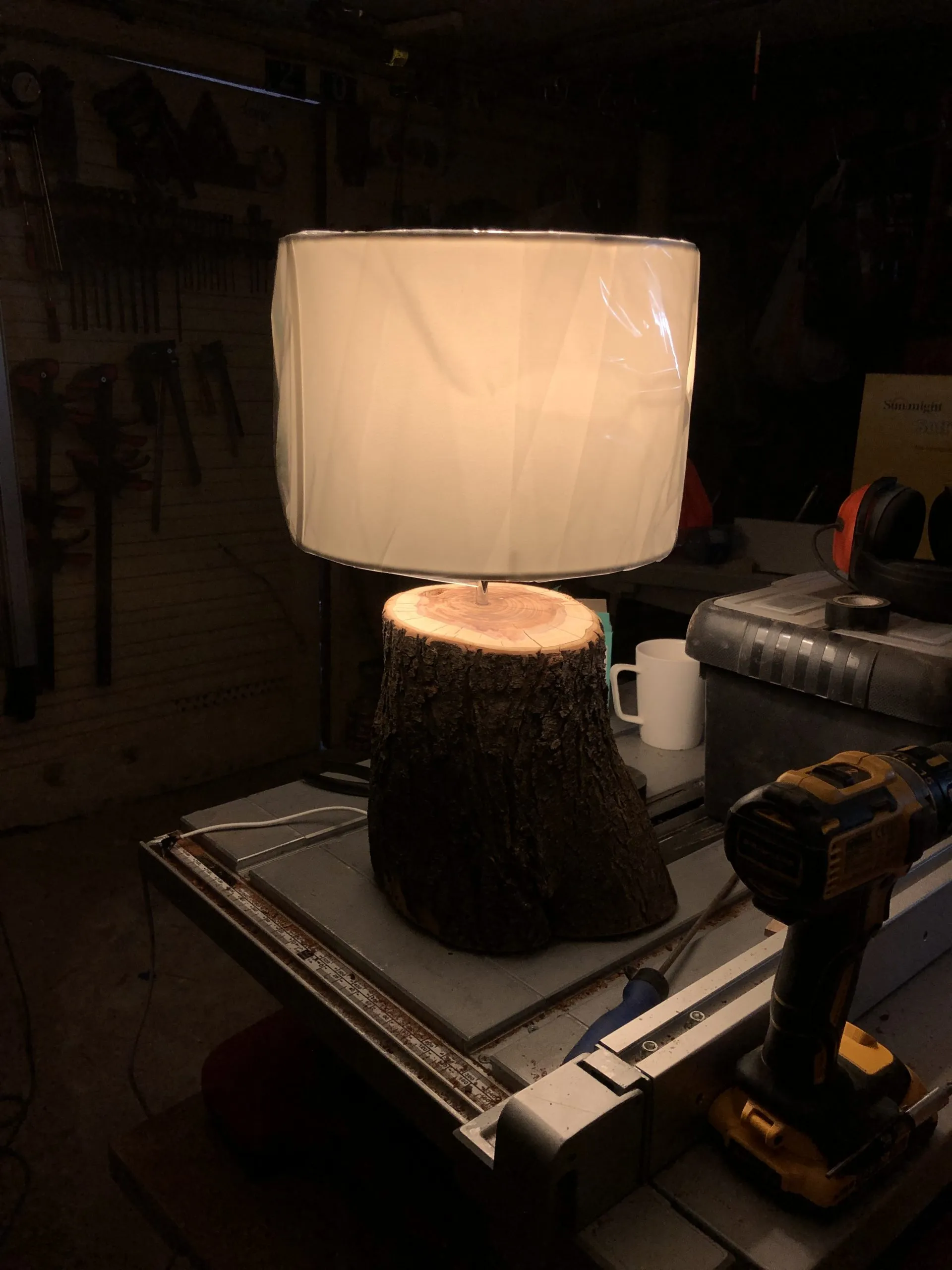 The log lamp switched on, casting warm light across the workshop