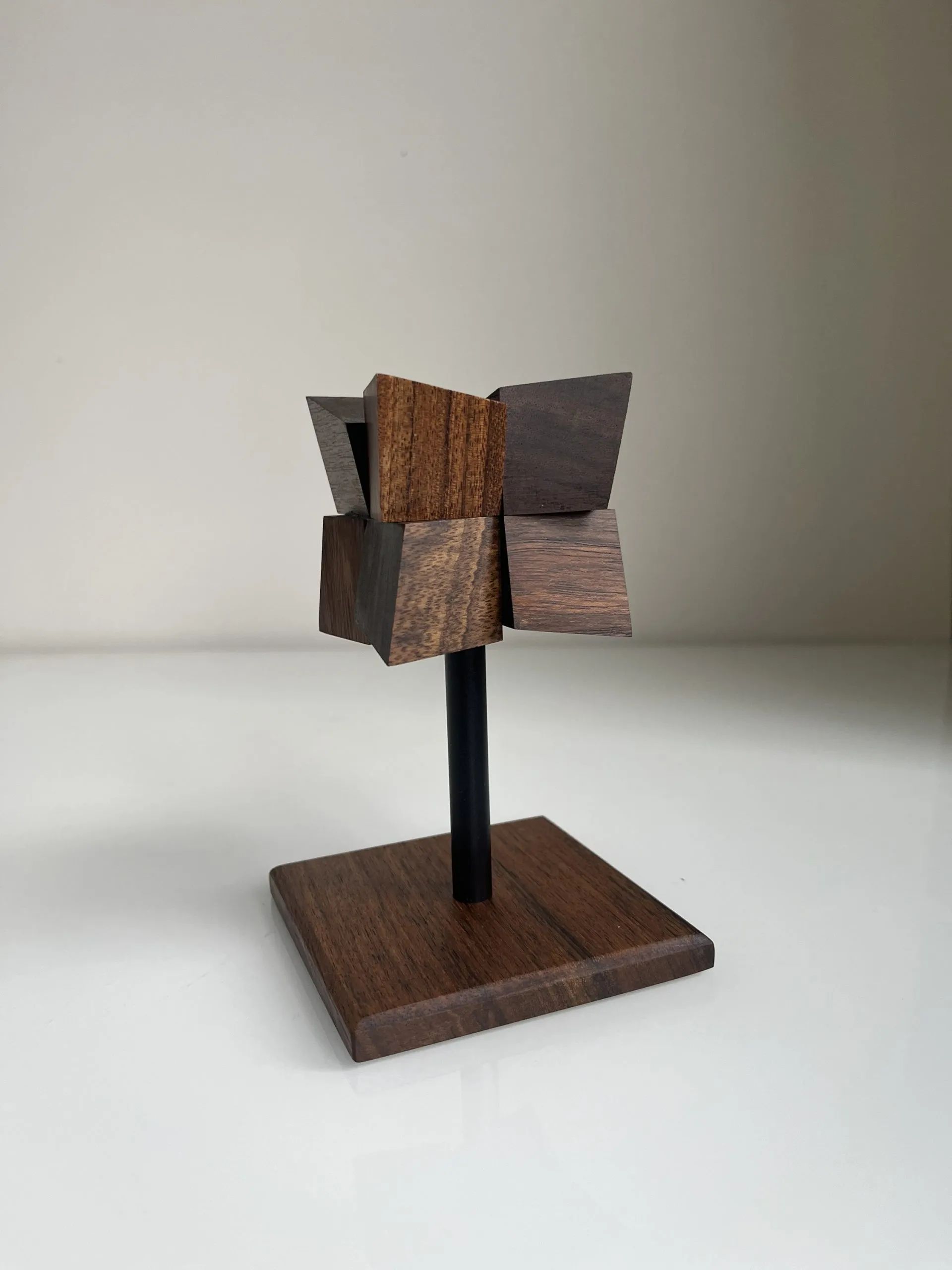 Echinus standing on a shelf in a minimal white interior